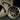 RAYS | Volk Racing CE28N-PLUS 1/4 Scale Model