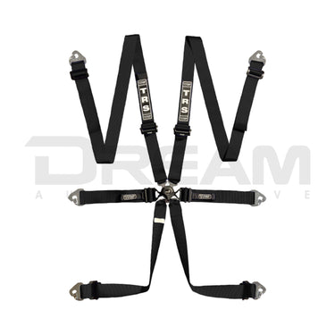 TRS | International Quick Ajuster 6 Point Ultralite FHR Only FIA Harness