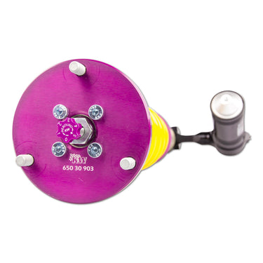 KW Automotive | Clubsport 2-Way With Top Mounts | Honda Civic Type R | FK8 2.0T K20C1 | 2017+