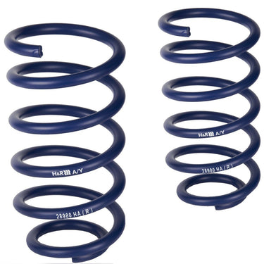 H&R | 20mm Lowering Springs | Honda Civic Type R | FK2 K20C1 2.0T | 2015-2016